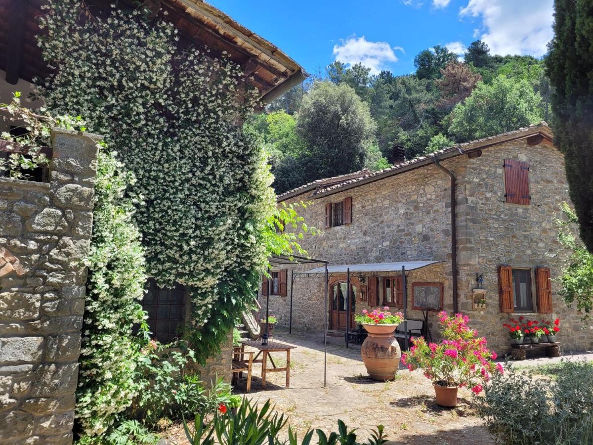 Ferienwohnung La Casa Nel Chianti Greve in Chianti Exterior foto